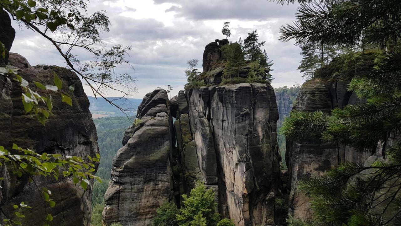Ferienhaus Winterbergblick, Saechsische Schweiz ヒンターヘルムスドルフ エクステリア 写真