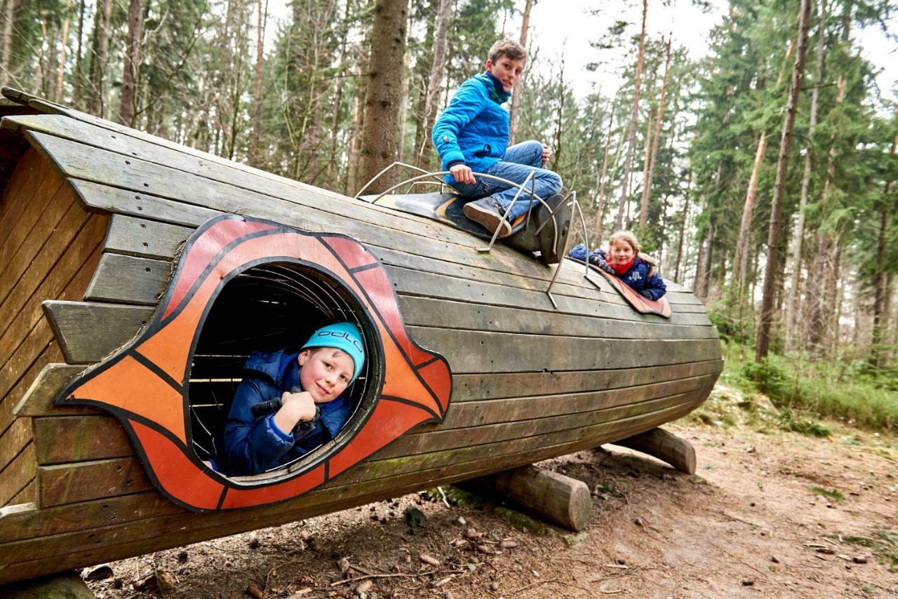 Ferienhaus Winterbergblick, Saechsische Schweiz ヒンターヘルムスドルフ エクステリア 写真