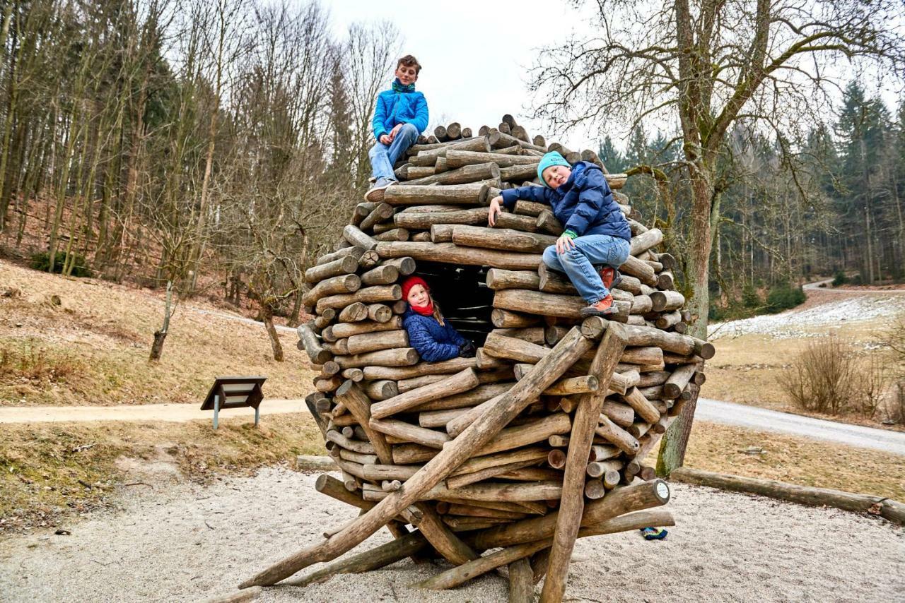 Ferienhaus Winterbergblick, Saechsische Schweiz ヒンターヘルムスドルフ エクステリア 写真